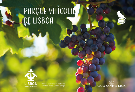 contents/news/2025-evento-vinha-recurso-560x380.png
