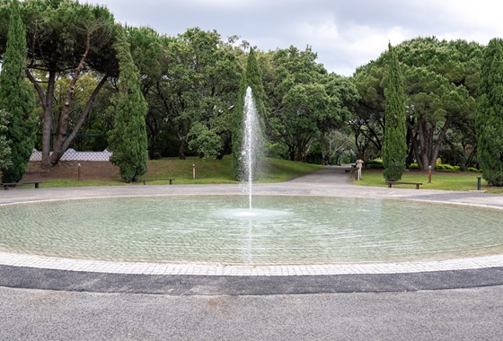 contents/news/news-lago.jpg