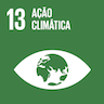 13 Ação climática