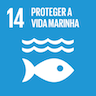 14 Proteger a vida marinha