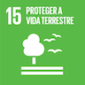 15 Proteger a vida terreste