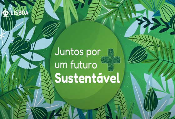 contents/resource/captura-de-ecra-2025-05-29-141905.png