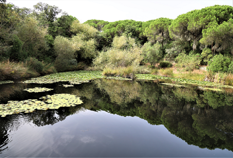 contents/resource/espaco-biodiversidade-1-06-outubro-2022-12.png