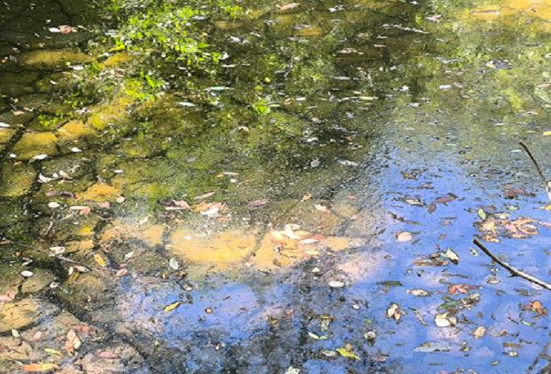 contents/resource/foto-dh-ambiente-ana-costa-560x3802.png