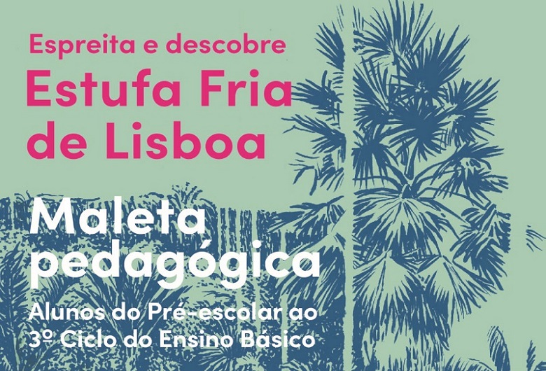 contents/resource/maleta-pedagogica-780x530_8350.jpg