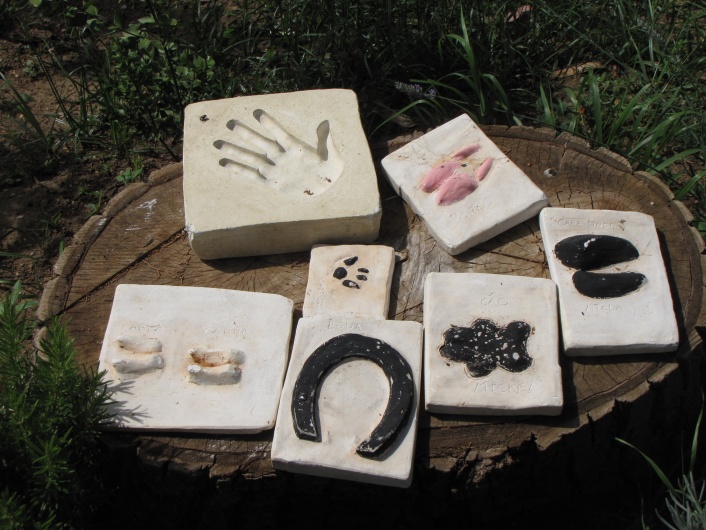 contents/resource/pegadas_8810.jpg