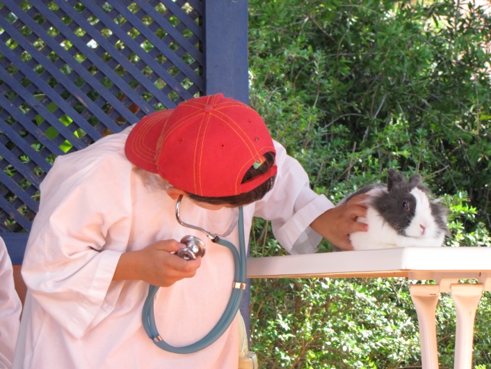 contents/resource/veterinario-por-uma-hora--atividade-11.JPG