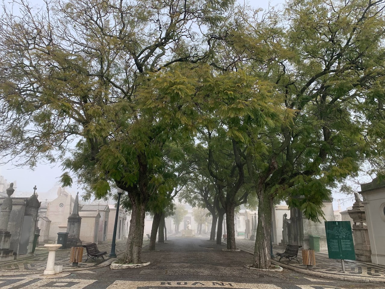 contents/resourcesgallery/alto-de-sao-joao-cemetery-street-2.jpg