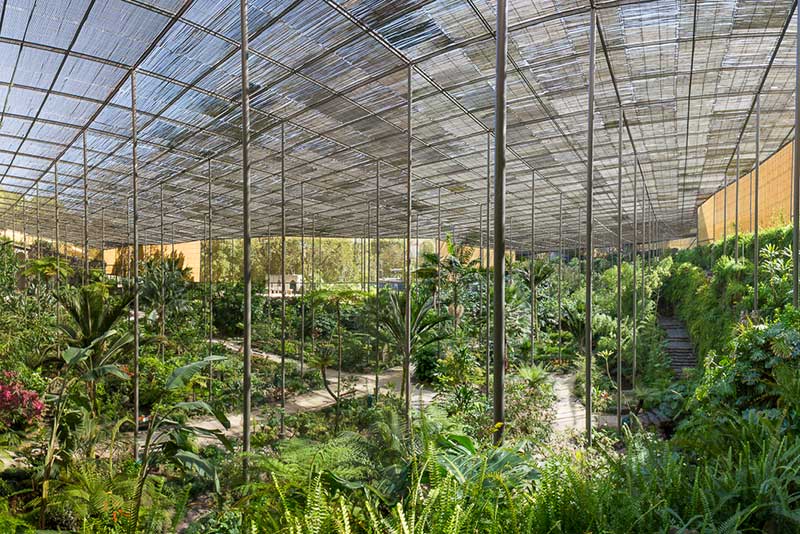 contents/resourcesgallery/estufa-fria.jpg